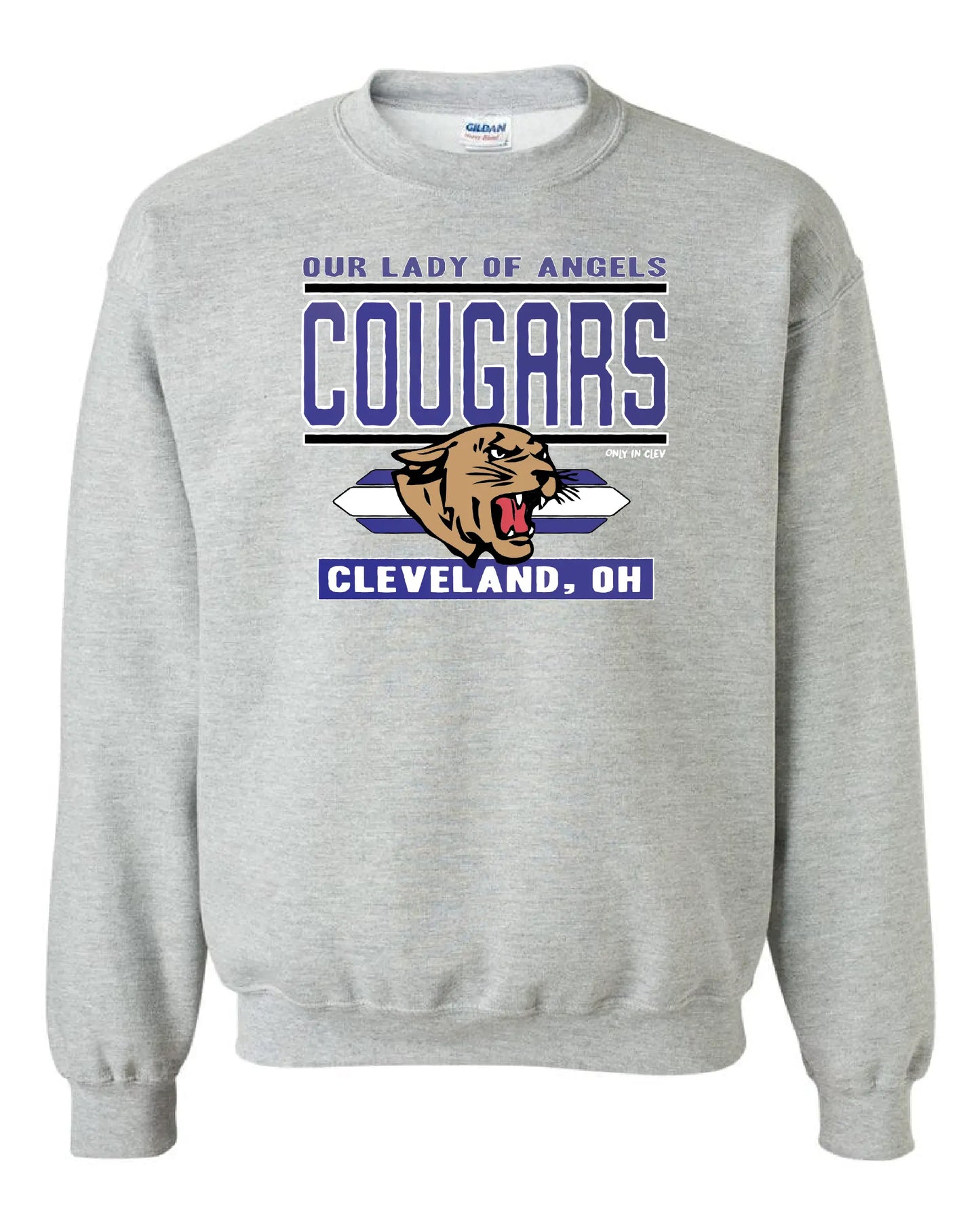 "Our Lady of Angels Cougar/Stripes" Design on Gray - Only in Clev