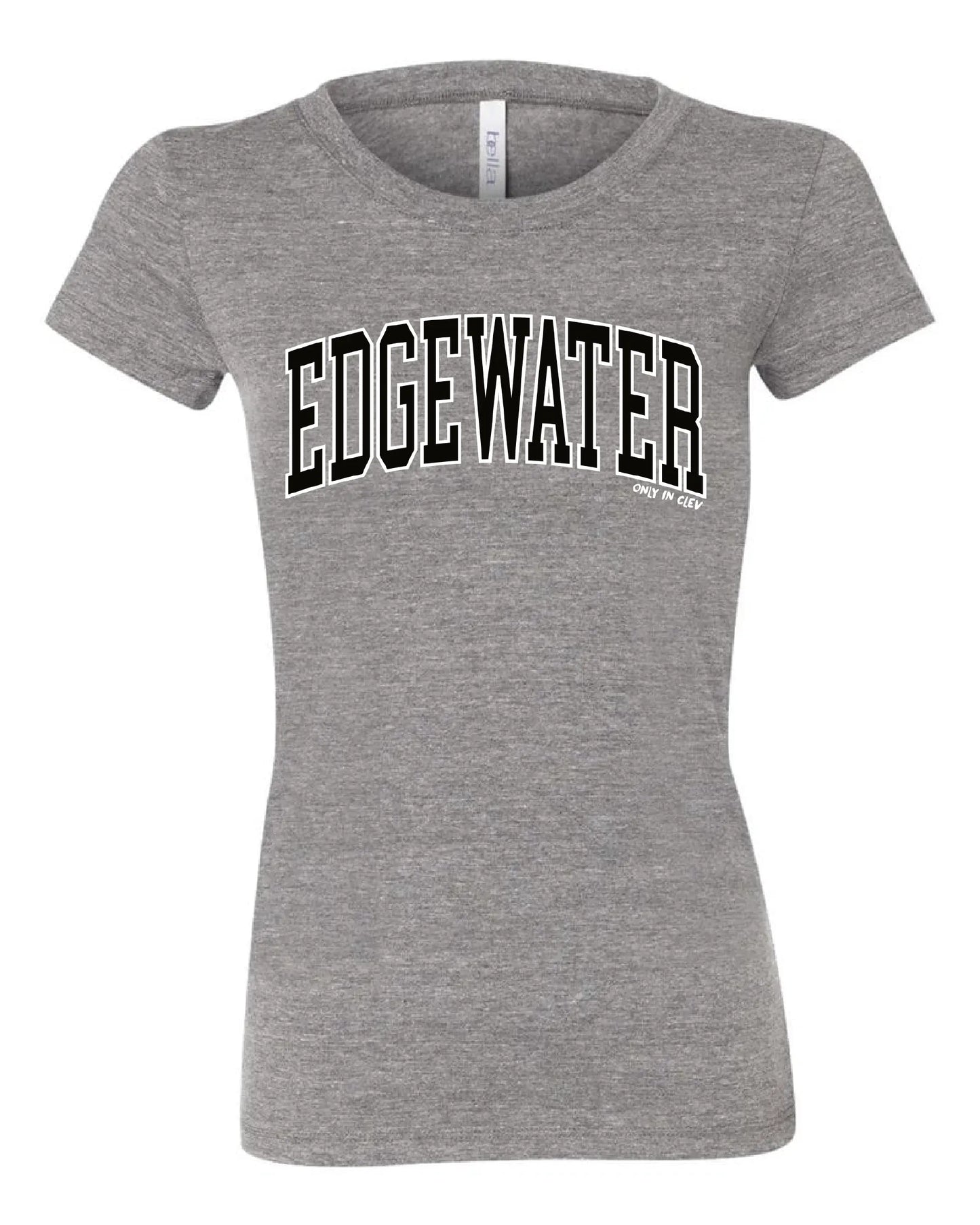 "Edgewater" Neighborhood Design on Gray - Only in Clev
