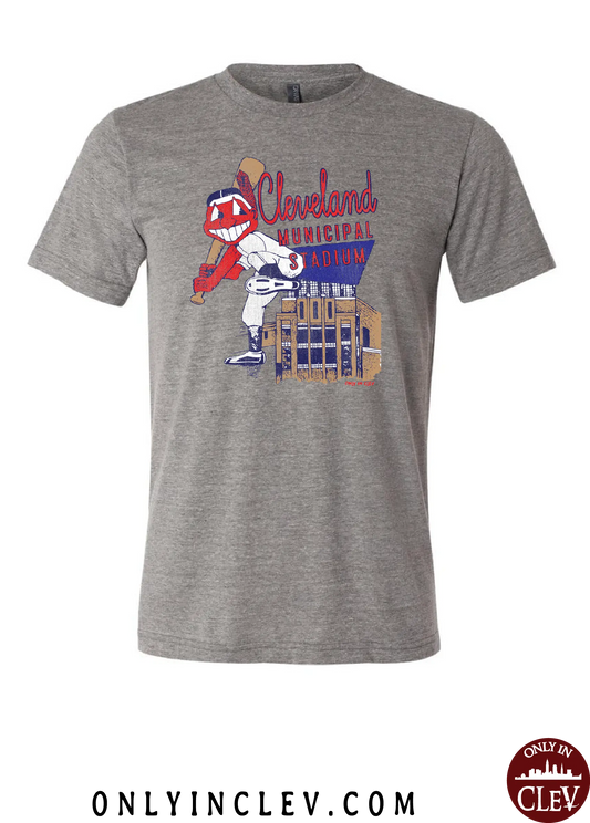 "Cleveland Municipal Stadium (Baseball) on Gray - Only in Clev