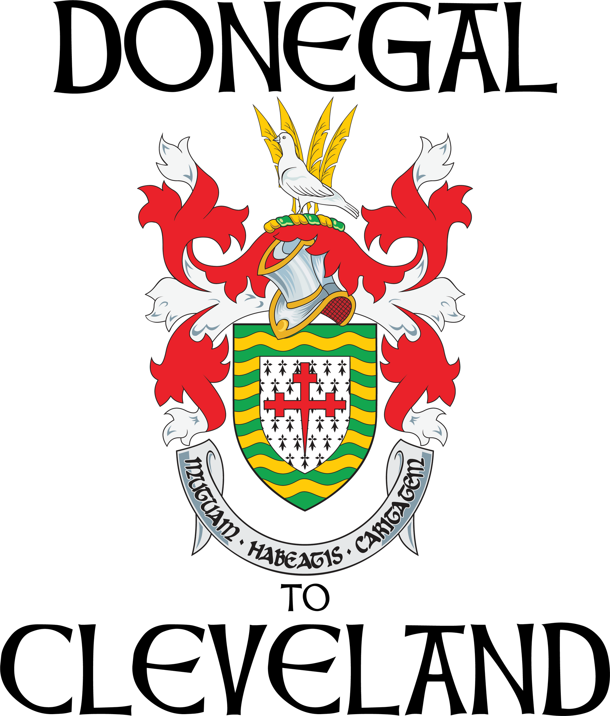 "Donegal to Cle" Irish Counties Design on Gray - Only in Clev 