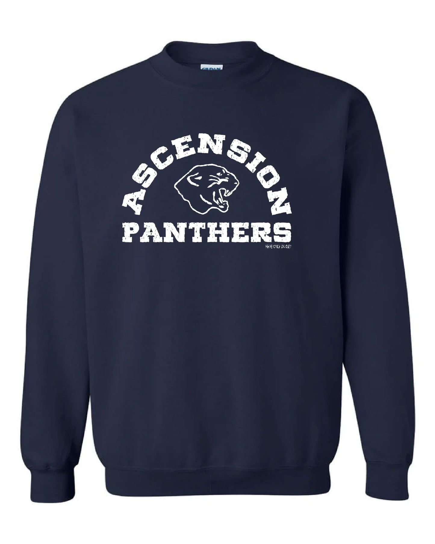 "Ascension Panthers" Design on Navy - Only in Clev