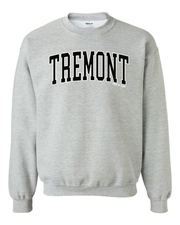 "Tremont" Neighborhood Design on Gray - Only in Clev