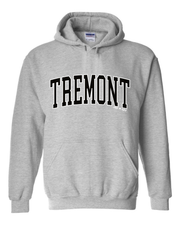 "Tremont" Neighborhood Design on Gray - Only in Clev
