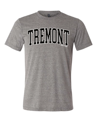 "Tremont" Neighborhood Design on Gray - Only in Clev