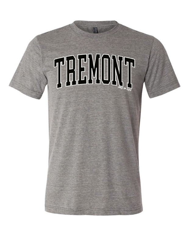 "Tremont" Neighborhood Design on Gray - Only in Clev