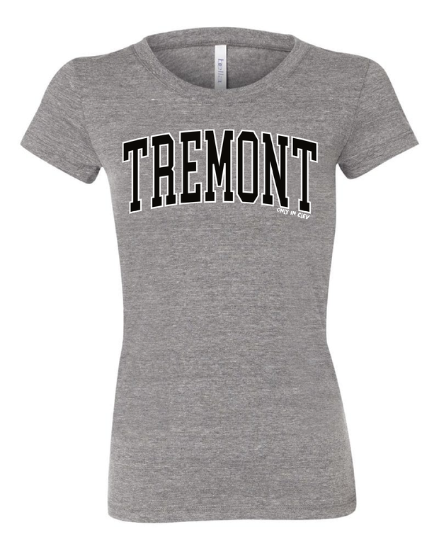 "Tremont" Neighborhood Design on Gray - Only in Clev