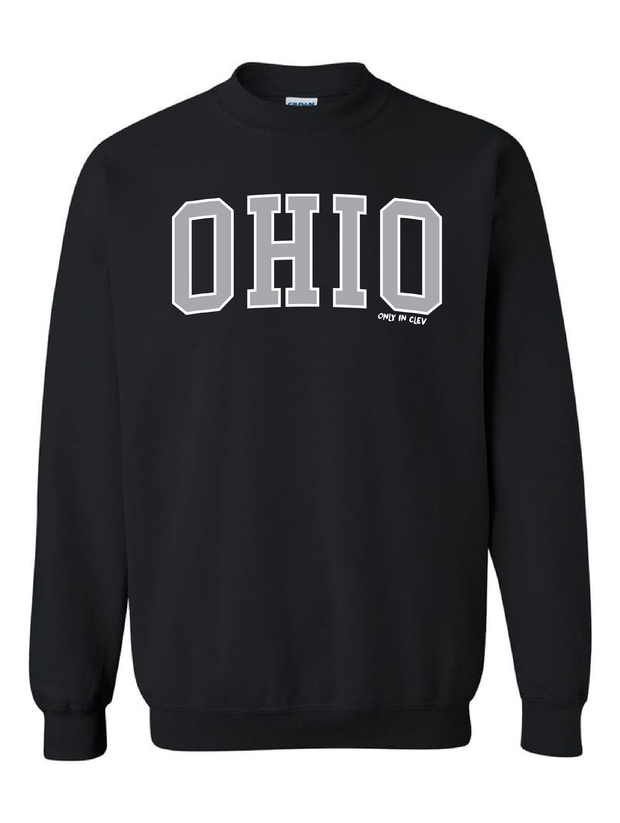 "Arched Metallic Silver Ohio" Design on Black - Only in Clev