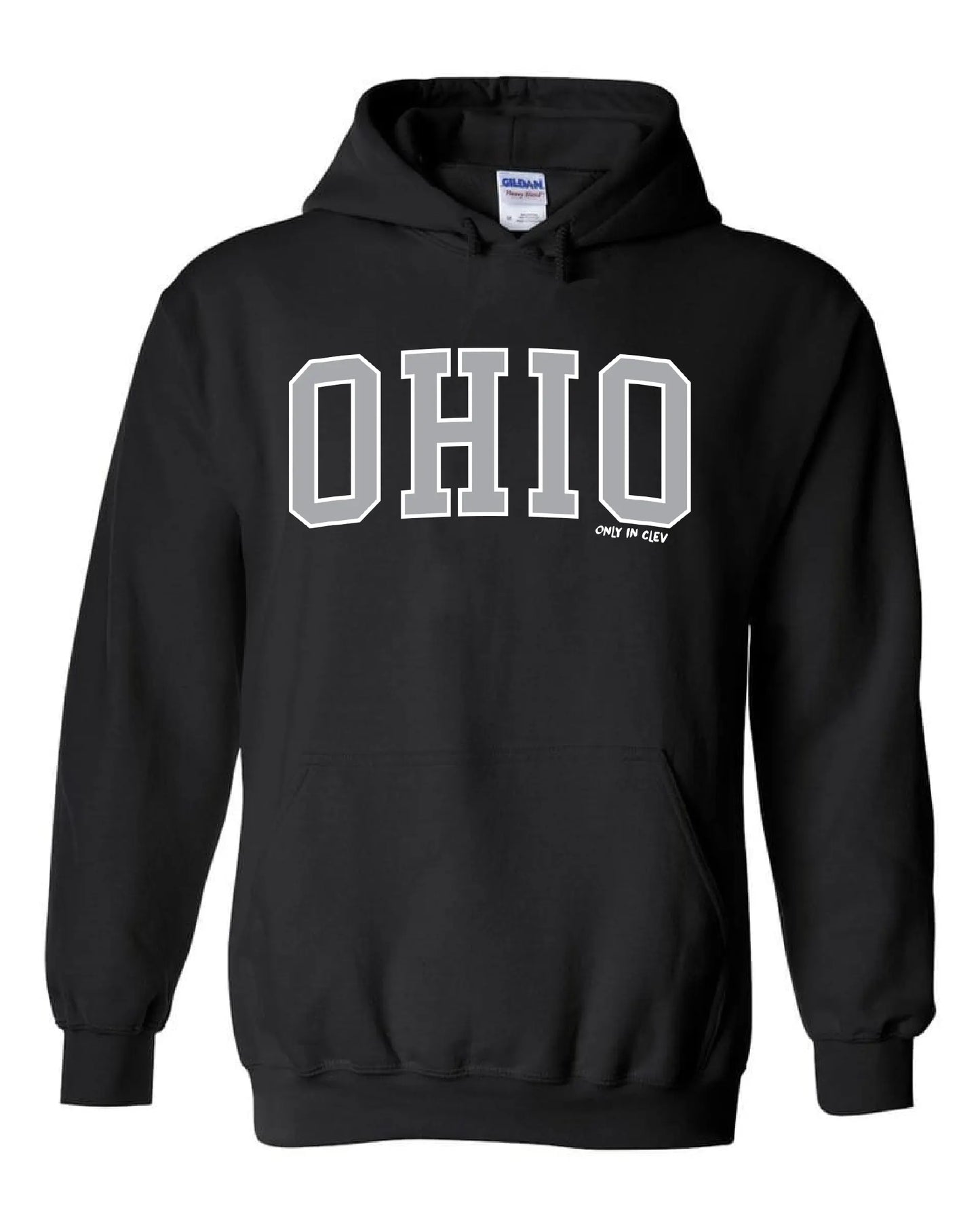 "Arched Metallic Silver Ohio" Design on Black - Only in Clev