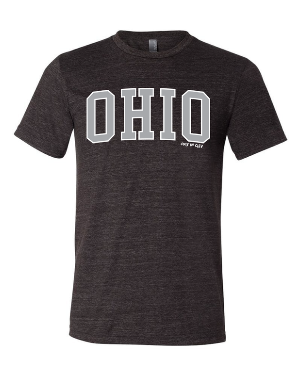 "Arched Metallic Silver Ohio" Design on Black - Only in Clev