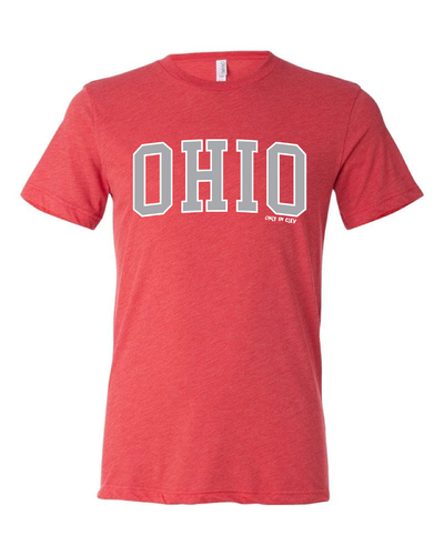 "Arched Metallic Silver Ohio" Design on Red - Only in Clev
