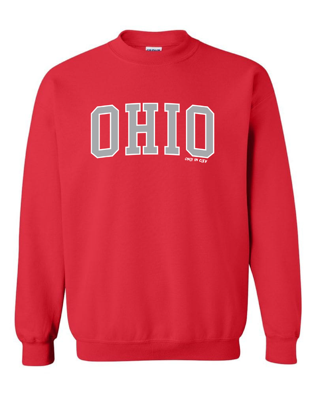 "Arched Metallic Silver Ohio" Design on Red - Only in Clev