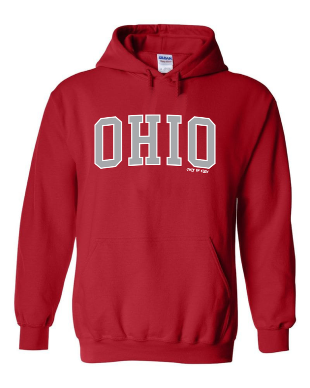 "Arched Metallic Silver Ohio" Design on Red - Only in Clev