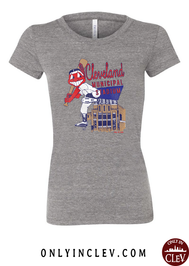 "Cleveland Municipal Stadium (Baseball) on Gray - Only in Clev